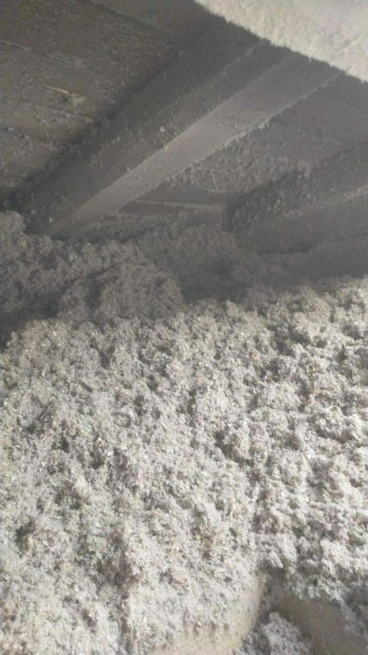 476486094 1325459035390665 3612529936981122318 n