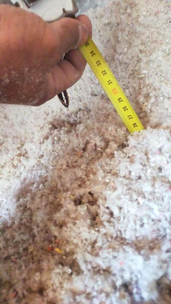 476495541 868613402020919 4567574155332888315 n