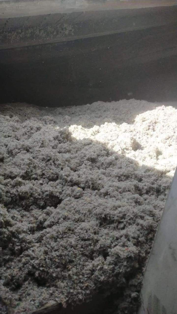 476497132 1211942117202394 9182616541054392039 n